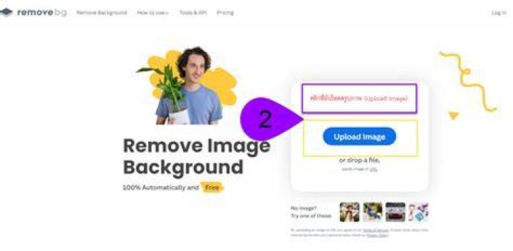 image removebg preview 3 1